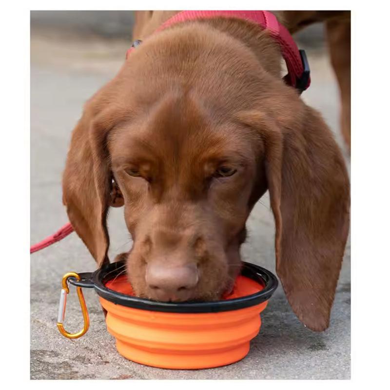 Collapsible Silicone Pet Bowl Portable Travel Dog Cat Bowl Waterproof Pet Feeder for Outdoor Activities Lightweight and Green