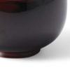 Lacquerware Dishwasher Made In Japan J-kitchens Bowl, Hand-Painted, Safe, PID-528220,
