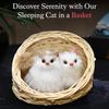 Plüschtiere für Mädchen - Schlafende Katze im Korb Mini Kätzchen Puppe mit realistischen Miau-Geräuschen | Berührungsaktiviertes schlafendes Katzenspielzeug für Schreibtischdeko