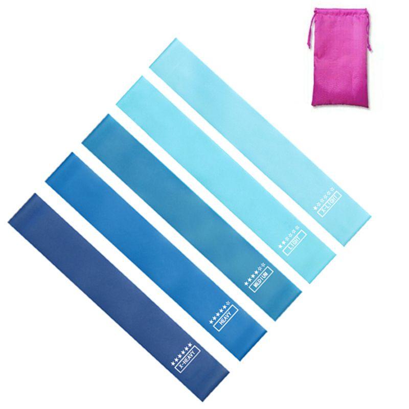 Premium Latex Gym Widerstandsbänder Set für Fitness und Physio in eleganten Rosatönen