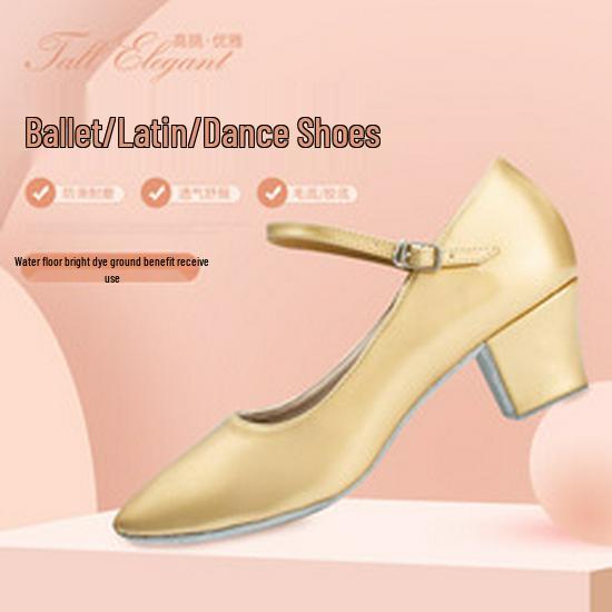 Women's Soft Sole Ballet & Dance Shoes - Gold/Silver, Cat Paw Design