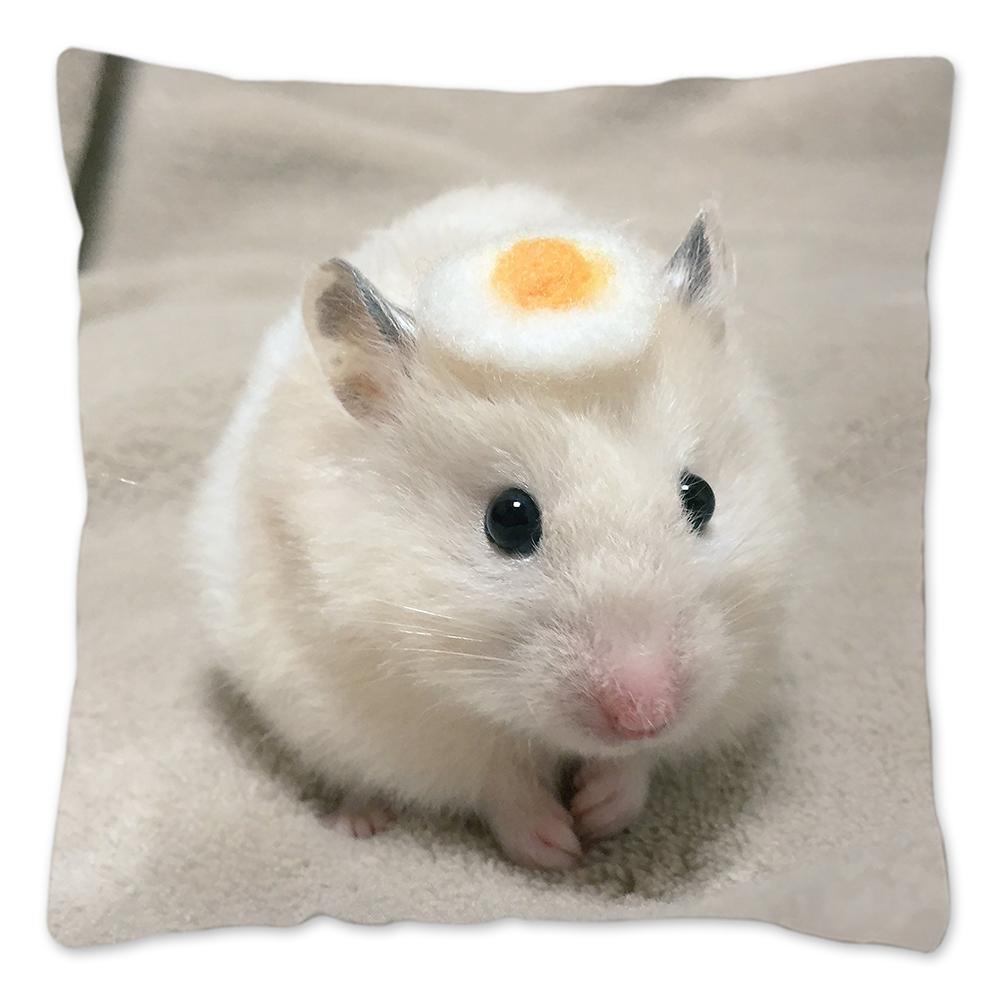 Funny Hamster Meme Pillow Cover Home Decor Polyester Cushion Cover for Sofa Car Cute Pillow Case Cojines Decorativos Para Sofá