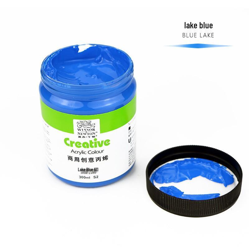 Bright Acrylic Paint 300ml - Large Capacity for Student and Children's DIY Art & Wall Painting