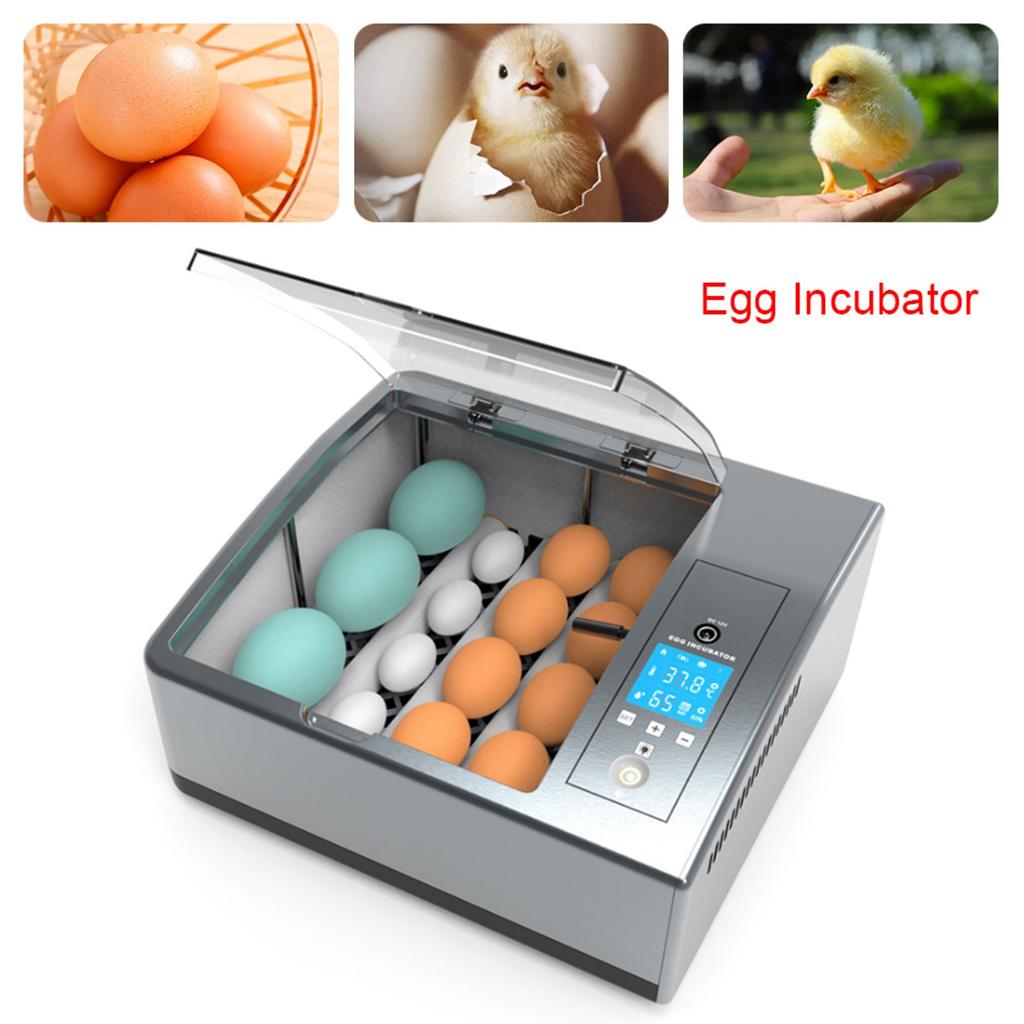 Fully Automatic Digital Egg Incubator, 16 Egg Capacity W/ LCD Display, 110V/12V Dual Voltage, Temperature and Humidity Control