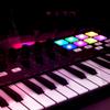 WORLDE Panda MINI II Portable 25 Key USB MIDI Keyboard Controller with 8 RGB Backlit Trigger Pads 4 Assignable Control