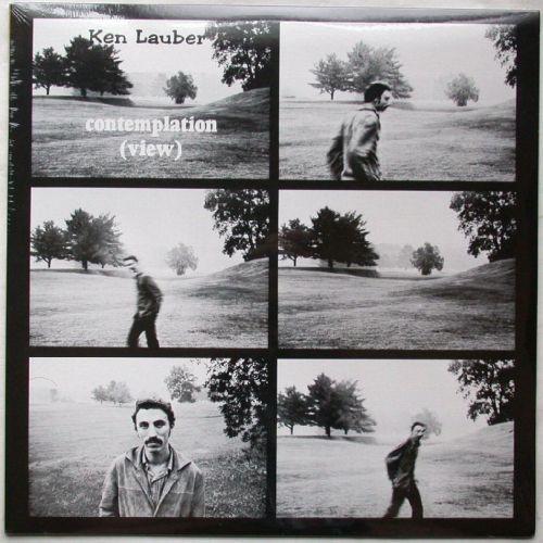 

CD KEN LAUBER - Contemplation (View) DYNA035CD Dynamic 2006 Non Japan Rock Used
