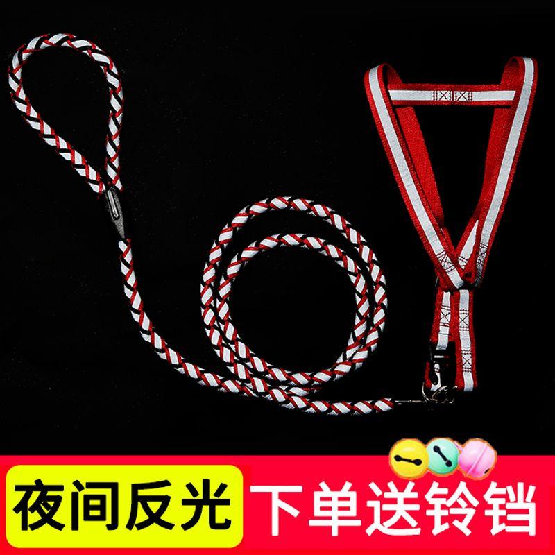 

Teddy/Pomeranian Bichon Corgi Chain Dog Hand Holding Rope L-Medium (about 9.00 kg-22.50 kg Single collar]