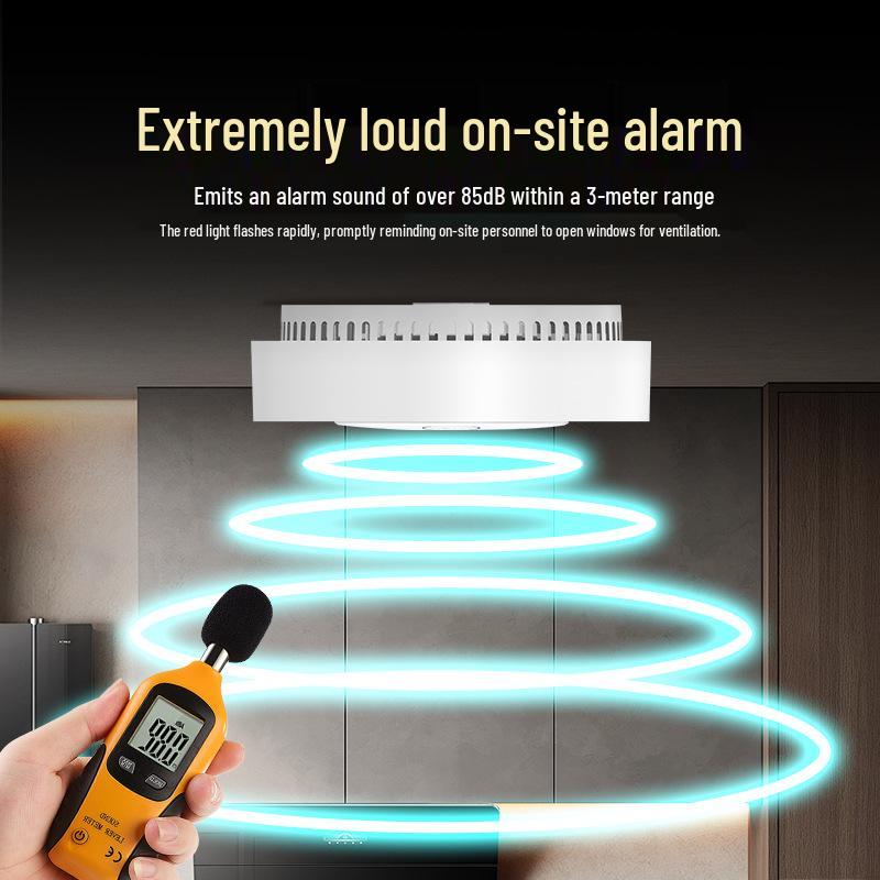 Carbon Monoxide Alarm: Indoor CO Detector for Fire Safety