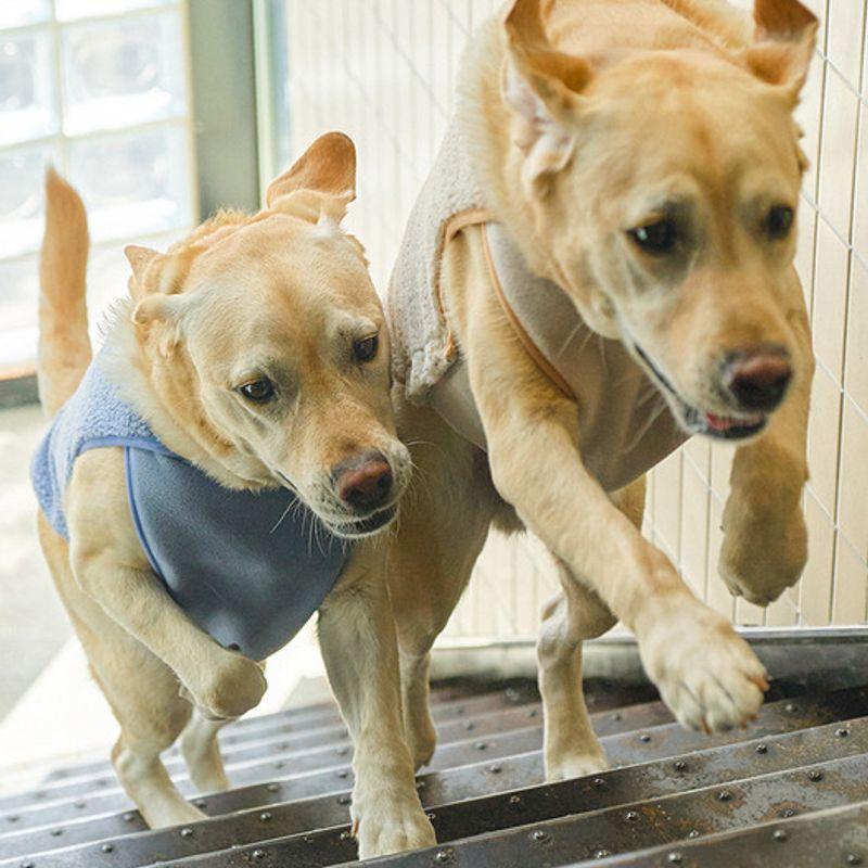 MUNIKUND Gugu Fleece - Berry