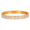 Bracciale a manetta unisex in acciaio al titanio con numeri romani e finitura galvanizzata per moda, regalo per uomo donna