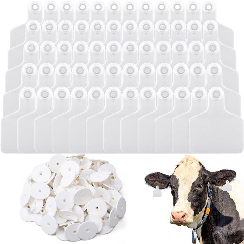 M-Modern-100 Pieces Blank Cow Ear Tags Large Plastic Livestock Ear Tags For Cow Horse Dog Pig Goat Sheep Farm Management