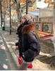 Women’s Short Hooded Windproof Thicken Warm Winter Jacket With Big Fur Lapel