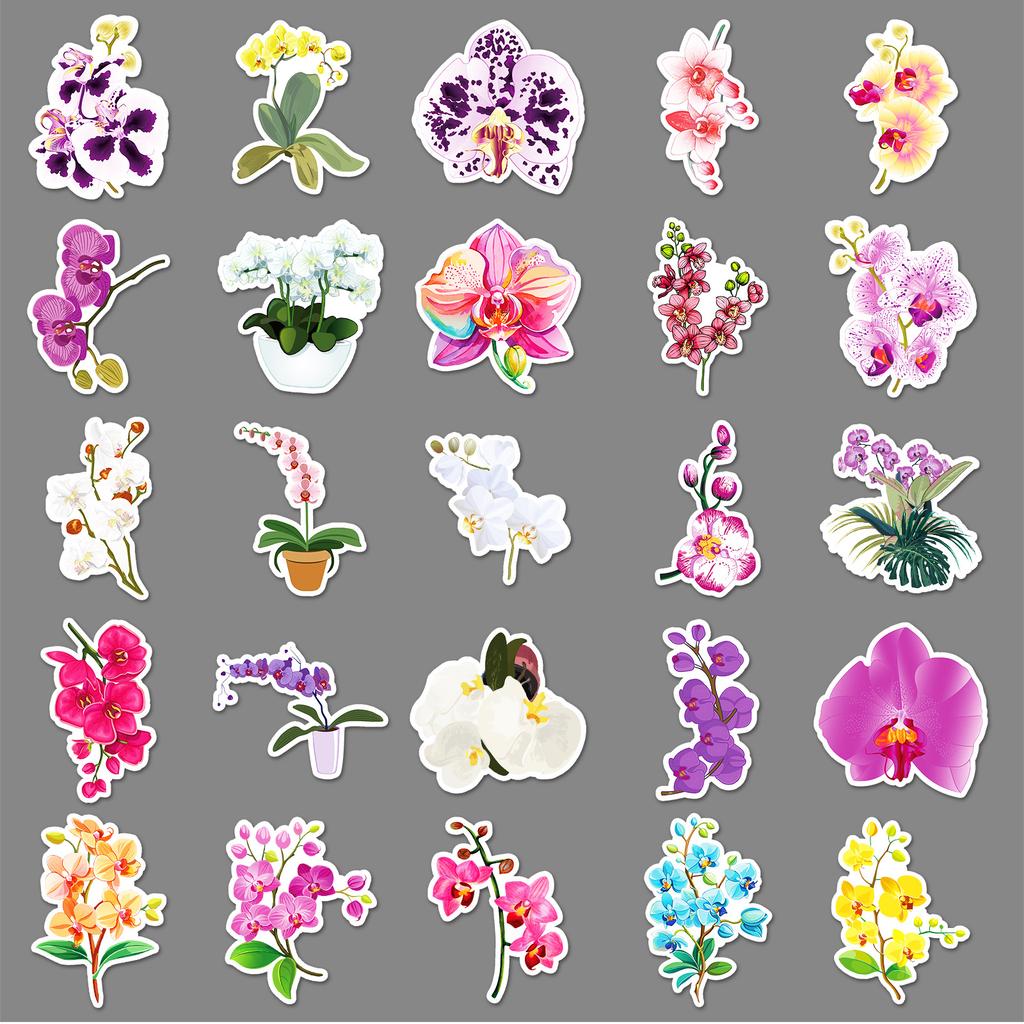 50 Phalaenopsis Graffiti Stickers Personalized Small Fresh Plant Flowers Decoration Mobile Phone Case Suitcase Stickers