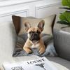 1pc Pillowcase, Cute French Bulldog Realistic Style Pillow Cover