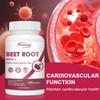 Raiz de Beterraba 8000mg - Circulação Saudável, Coração, Suporte à Pressão Arterial