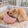 Voor dieren – Knaagdieren
