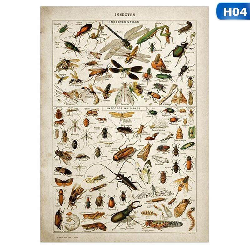 

Винтажные постеры энциклопедии Адольфа Милло Бабочки Грибы Травы Цветы Насекомые Классические картины на холсте Наклейки на стену