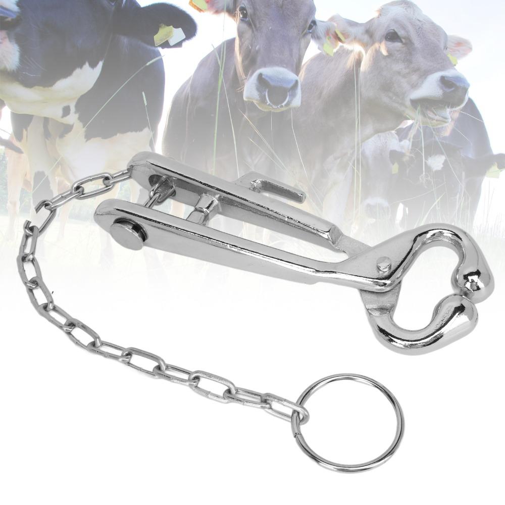With Chain Cattle Nose Pliers Stainless Steel Livestock Nose Pliers Veterinary Use