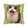 Pillow Cover Green Fruit Space Cat  Fashion Pillow Case For Sofa Home Decor Pillowcases