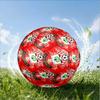 Fc Crest Design Printed Size 5 Soccer Balls, High-Quality, Anti-Slip, Protective Football, A Unique Gift , Birthdays, Christmas Gifts