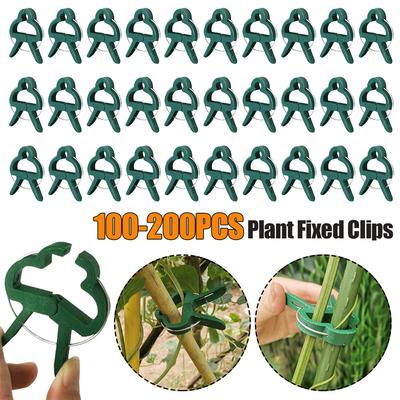 100-200 Pezzi Clip Fissaggio Piante Riutilizzabili Staffa per Serra da Giardino per Fissare Piante Rampicanti Fiori Piantine Supporto per Stelo Attrezzi da Giardino