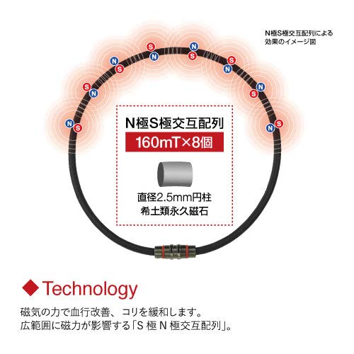 [Exkluzivně na Amazon.co.jp] Náhrdelník Colantotte Crest Premium, černá červená ACAAX53M