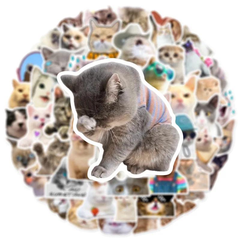 50PCS New Cute Cat Memes Motorbike Helmet Stickers Lovely Cats Waterproof Rear Trunk Sticker Motorcycle Body Scratch Cover Decal