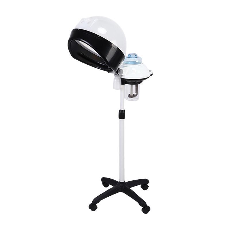 

Adjustable Spray Machine for Hairdressing & Leather Care CN Plug