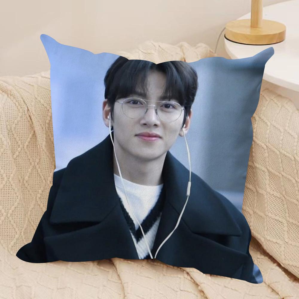 JJi CChang Wook Cushion Cover Silky Short Plush DoubleSided Printed Pillow Case for Sofa All Seasons Home Decor Gift