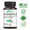 Bcuelov Ecdysterone Capsules with Cyclodextrin Complex Support Physical Performance 120 Veggie Capsules