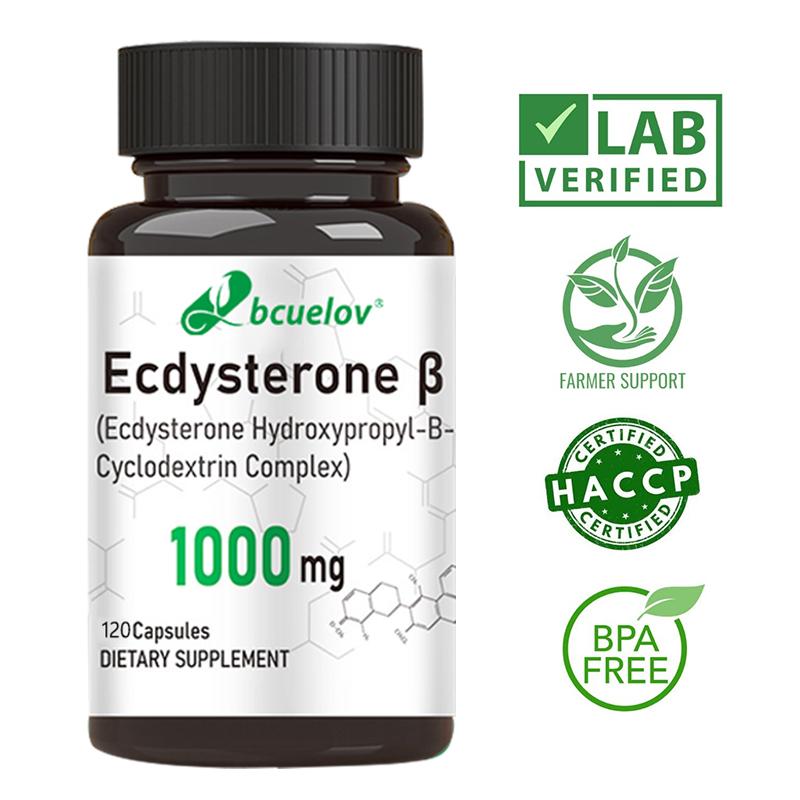 Bcuelov Ecdysterone Capsules with Cyclodextrin Complex Support Physical Performance 120 Veggie Capsules