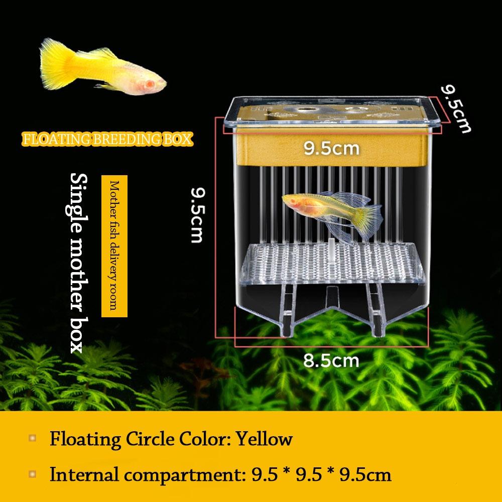 Прозрачный квадратный отсадник для рыб, съемный аквариумный отсадник-кормушка, прозрачная рамка, плавающий инкубатор для мальков, отсадник