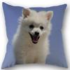 New Custom Pomeranian Dog Pillowcase Cotton Linen Fabric Square Zipper Pillowcase 45X45Cm Wedding Decorative Pillow Cover
