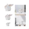 Figures Little White Micro Landscape Craft Collectible Home Decoration Creative Ornaments for Desk
