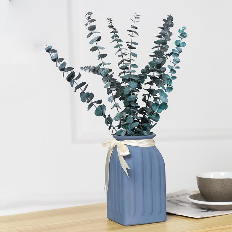 Eternal Apple Eucalyptus Millet Fruit Leaves Beauty Leaves Eucalyptus Leaves Air Dried Flowers And Leaves Multicolor Eucalyptus Leaves Home Decoration