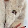 Exquisite Elegant Women Lady Strawberry Cute Fruit Enamel Badges Pin Fashion Idyllic Drop Oil Brooch For Woman Accessories