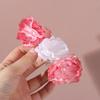 Pearls Telephone Line Headband Straight Braid Hair Tie Elegant Telephone Wire Hair Rope  Daily