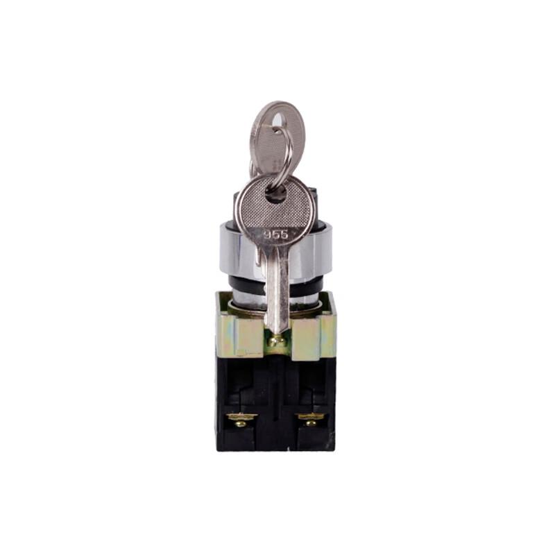Zhengtai NP2-BG25 Non-Illuminated Push Button