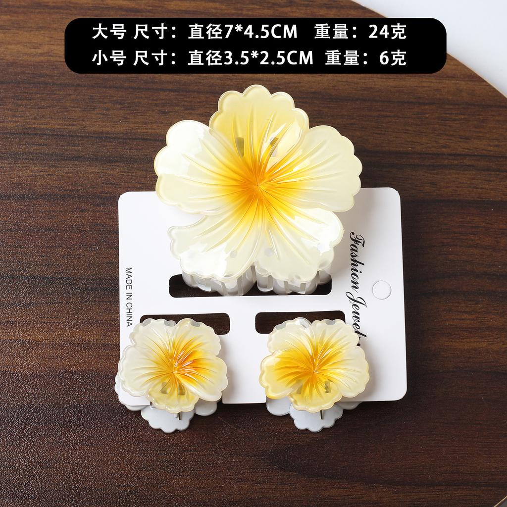 2025 New Egg Flower Grab Clip Retro Color Flower Hair Claw Clip Lady Side Grab Half Grab Back Head Shark