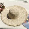 Natural Lafite Straw Hat Sunscreen Large Brim Beach Hat Trendy Foreign Style Color Fur Edge Dome UV Protection Sun Visor