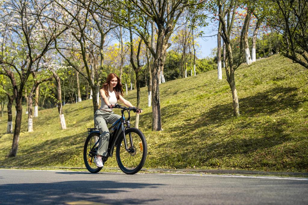 DUOTTS C29 Elektrofahrrad 750W Motor 48V 15AH Lithiumbatterie Elektrofahrrad 29-Zoll-Reifen 21-Gang Pendler E-Bike