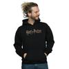 Harry Potter Mens Full Colour Logo Hoodie
