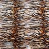 Velvet Animal Print Fabric Tiger Leopard zebra Fabric for Sofa Toy Cloth Caveman Costume Cloth