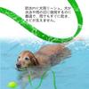 YYKSYDPT Waterproof PVC Dog Recall Long Dog Suitable for and Swimming for Medium and Large Dogs Leash, 3M/5M/10M/15M Leash, Training, Tracking, Beach,