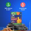 Zandu Vigorex Shilajit Ashwagandha Capsules For Men Vitality Energy Support Daily Wellness Supplement Pack Of 1 60 Capsules