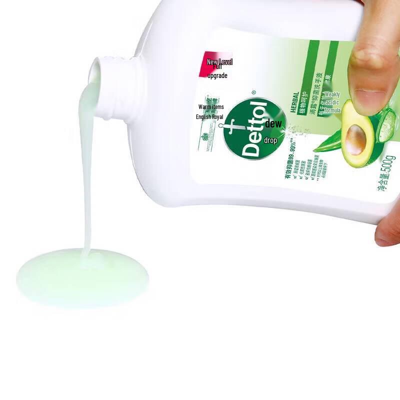 Dettol Plant Care Antibacterial Hand Wash