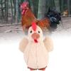 Chicken Cartoon Plush Toy Doll Room Decoration Children Festivals Gift Pp Cotton