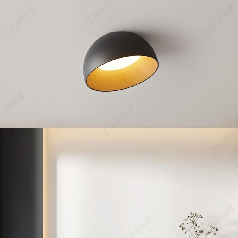 Creative and Simple New LED European Eggshell Ceiling Lamp Home Living Room Corridor Bedroom Dining Room Decorative Lighting