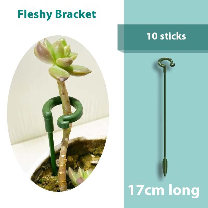 10PCS Special Flower Stand Succulent Phalaenopsis Plant Potted Flower-shaped Support Rod Fixed Anti-lodging Leaf Protection Rack