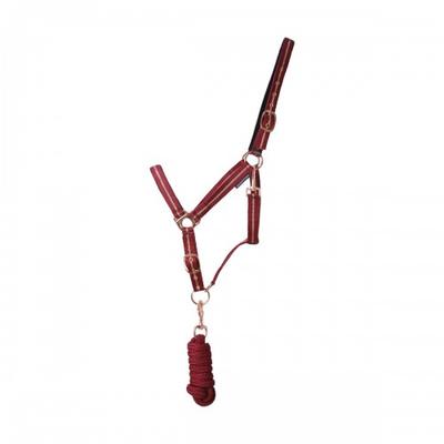 Hy Glitter Horse Headcollar and Leadrope